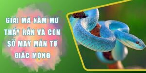 nằm mơ thấy rắn